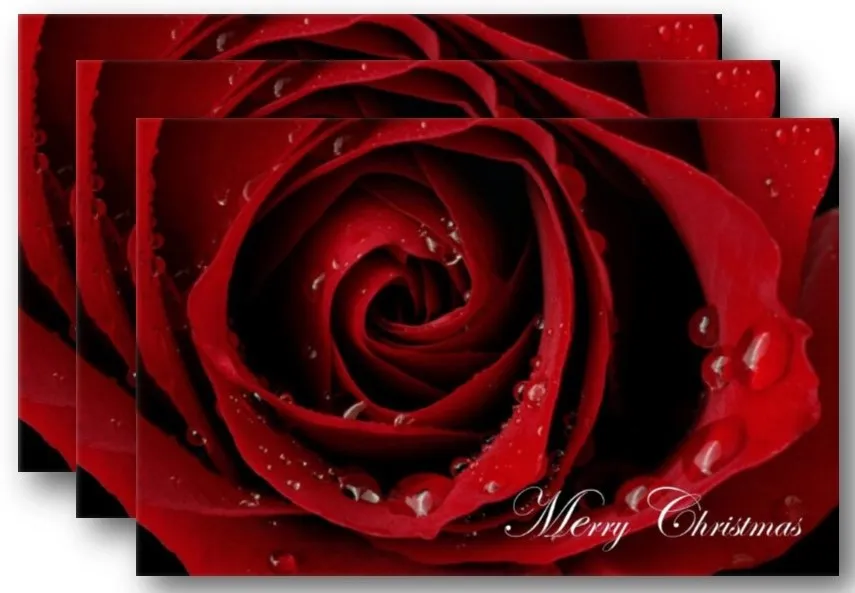 christmas-card-2019-3-cards-2.webp
