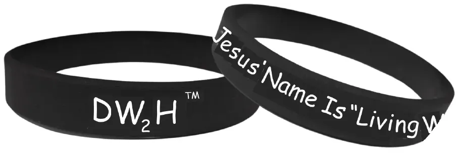 dw2h-final-black-and-white-wristband-1.webp