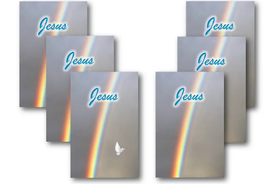 rainbow-6pk.webp